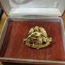 Irish Army Communications and Information Services Corps Badge Image 2