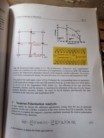 Magnetism goes Nano: Electron Correlations, Spin Transport, Molecular Magnetism... (gebundene Ausgabe