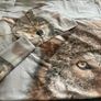 2 Sets of Double Bed Bedding Image 2