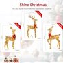 3 Piece 2D Lighted Christmas Deer Family Set Image 2