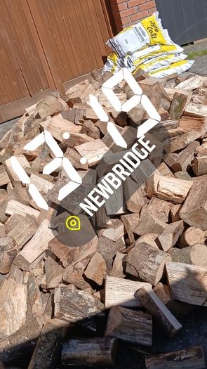 Firewood 2026