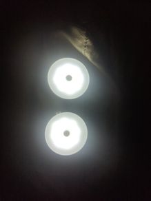 lights