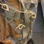 Dog grooming harness Image 2