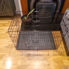 Large dog crate