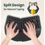 Perixx PERIBOARD-613B Ergonomic Keyboard Image 2
