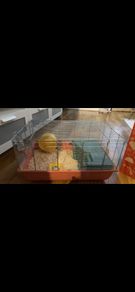 Hamster cage