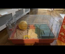 Hamster cage