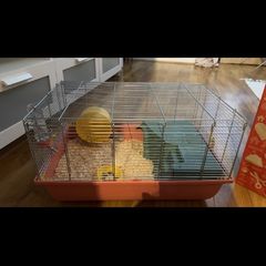 Hamster cage