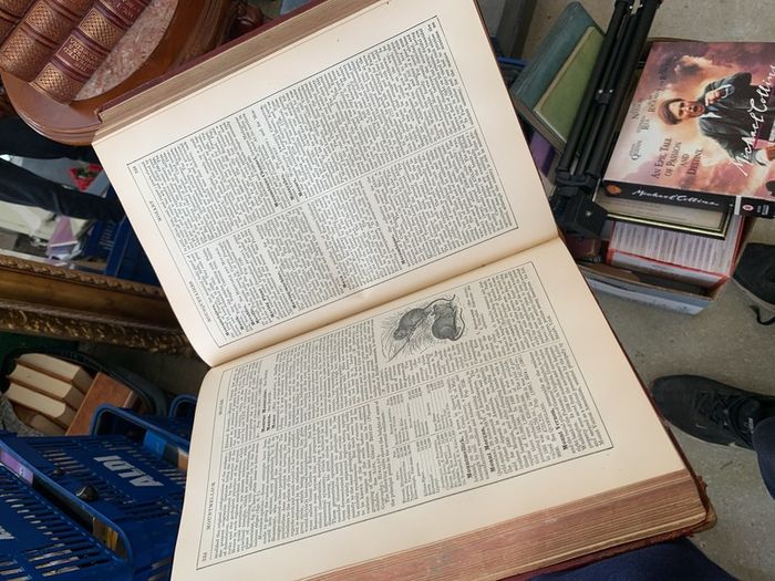 Old leather books