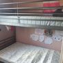 Bunk beds Image 5