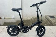 Fiido D3 Pro Electric Bike