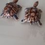 "Wade" Collectables Image 3