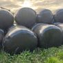 Round bales of silage Image 4