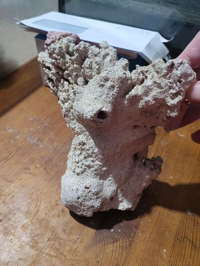 marine rocks