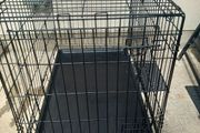 large dog travel crate
