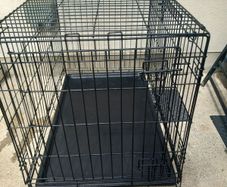 large dog travel crate