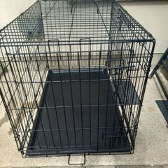 large dog travel crate