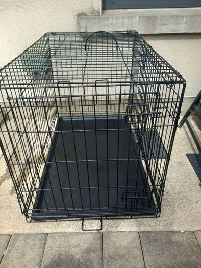 large dog travel crate