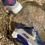 Rare USA Exclusive Air Max 90 Image 3