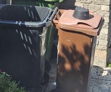 4 x panda wheelie bins