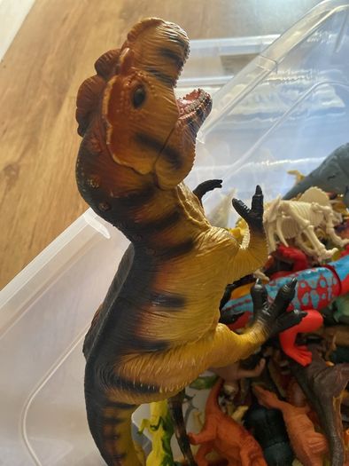 box of dinosaurs