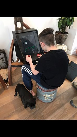 Vintage 1980's Arcade Games