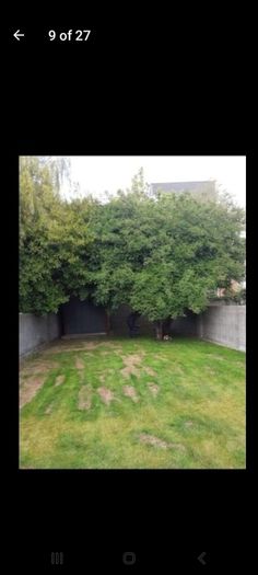 T&m gutter and  garden service