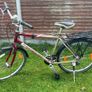Bicycle - Mongoose pro Image 2