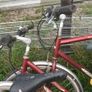 biks Image 2