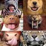 Face mask AnimalStyle Image 2