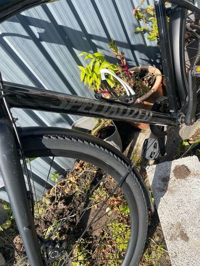 Specialized Mountain Bike