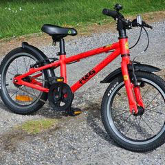 Kids bike Frog. Bike for girl and boy. Cycle