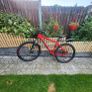 bike Image 4