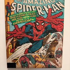 Spider-Man Canvas Wall Art