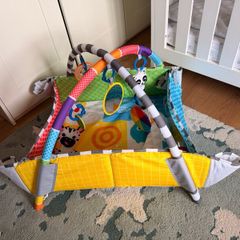 Baby Play Gym/Mat