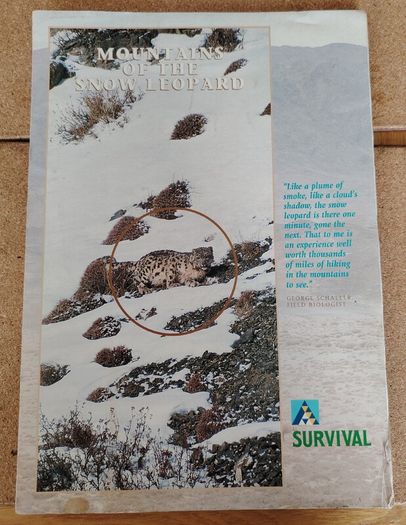 Premium Vintage Irish Culture, Guinness & Gardening Book Bundle 1980-1999