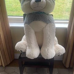 Teddy