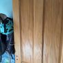 internal door Image 2