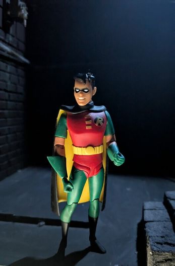 DC Direct Batman the Animated Series Action Figures