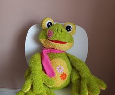 Soft toy Frog