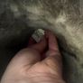 Ugg boots Image 4