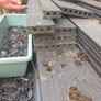 Composite Decking Image 6