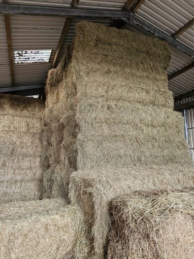 2026 Hay