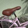 bike Image 5
