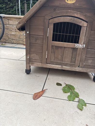 Wooden Dog Kennel