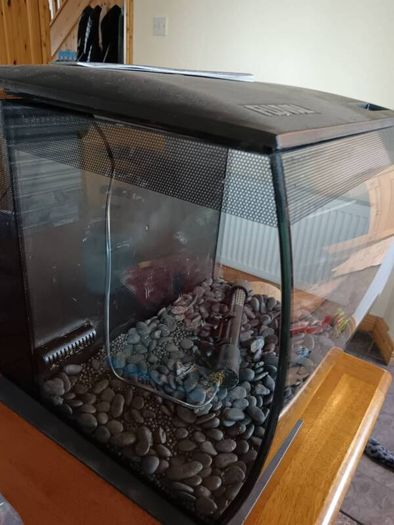 Fluval Flex 2 57l fishtank