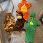 Costumes (18months -3 years)