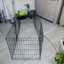 Dog Enclosure Image 3