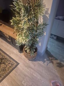 artificial plant