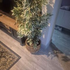artificial plant